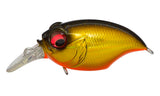 Megabass New Griffon SR-X