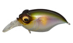 Megabass New Griffon SR-X